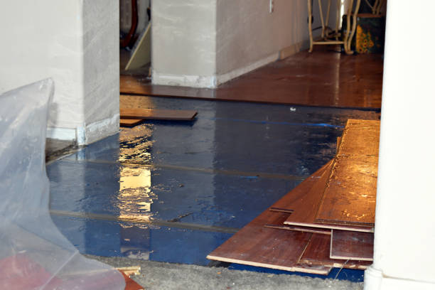 Professional Water Damage Restoration technician working in Cherryfield, ME